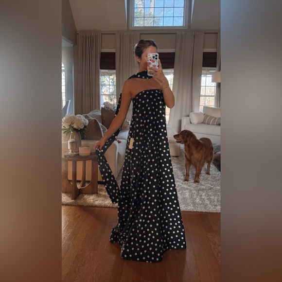 SHOW ME YOUR MUMU NEW Tinsley Tube Dress in Polkadot XS - Picture 3 of 9